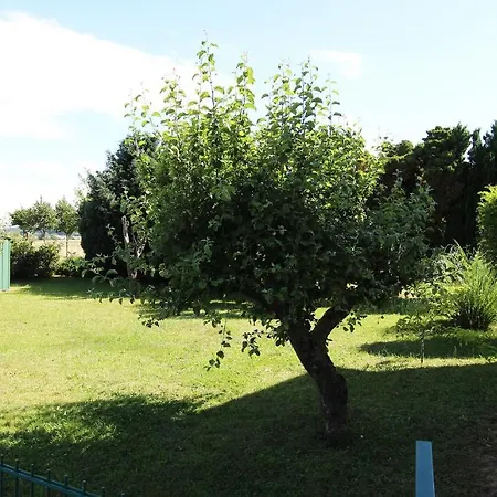 Zelk Ostseebad Kühlungsborn