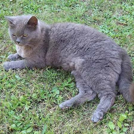 Apartman Zelk Ostseebad Kühlungsborn