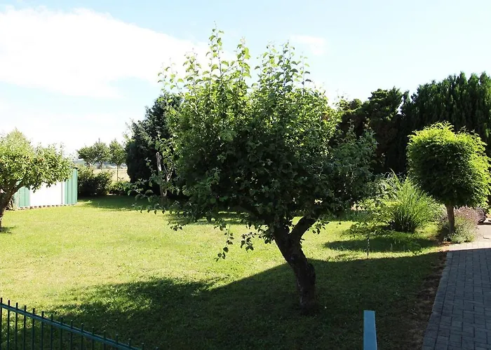 Zelk Ostseebad Kühlungsborn