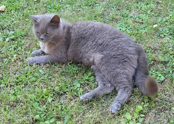 Apartament Zelk Kühlungsborn